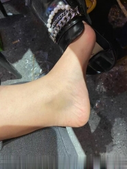 下沙足尖上的小鸟