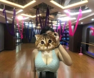 BBW巨乳健身教练