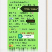 双飞爽记