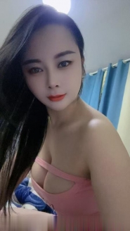 包河小夜猫